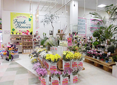 フレッシュフラワー 花問屋直営店 ショップガイド 盛岡南ショッピングセンター サンサ Sansa フレッシュフラワー 花問屋直営店 ショップガイド 盛岡南ショッピングセンター サンサ Sansa